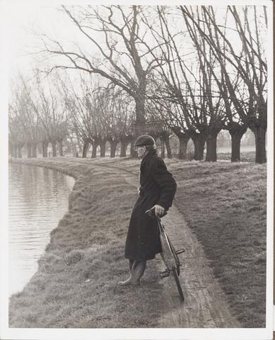 Open original Digital object